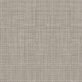 NS821: Metalic Woven