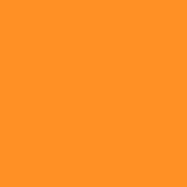 S169: Orange