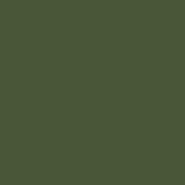 S202: Seaweed Green